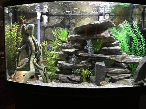 diy fish tank|Build Your Dream Aquarium: A DIY Guide.